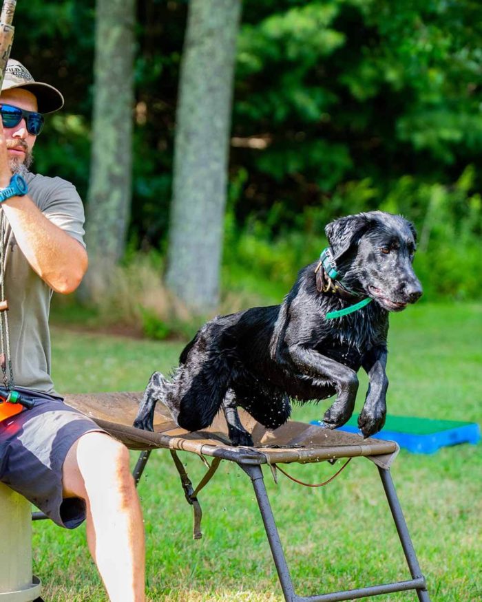 Home Wild River Kennels